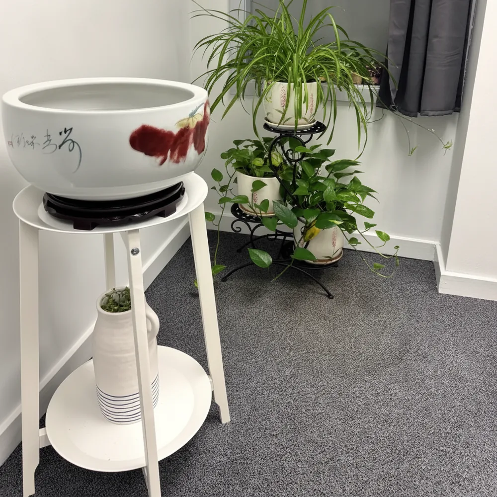 Calm corner at the spa: a goldfish in a hand-painted ceramic bowl beside a plant stand